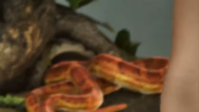 Serpent
